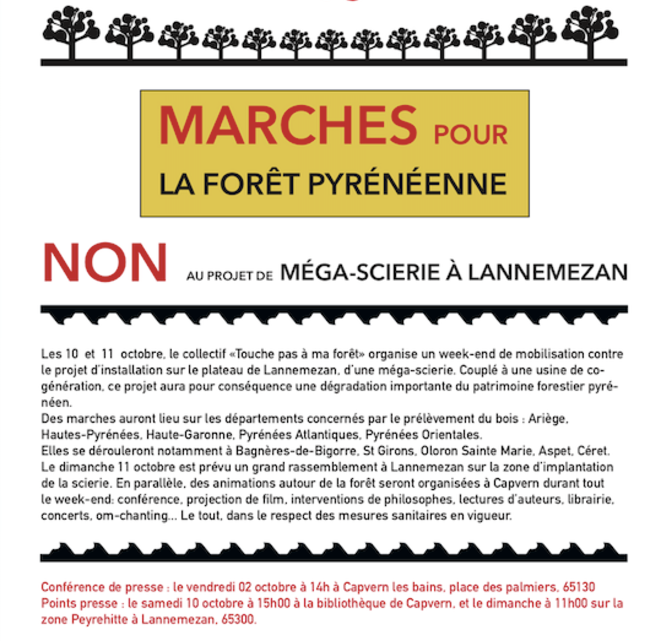 Touche pas à ma forêt !